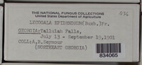 Image Associated With the Occurence